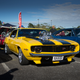 Illustration for article titled New Zealand: Caffeine Classics Photo Dump